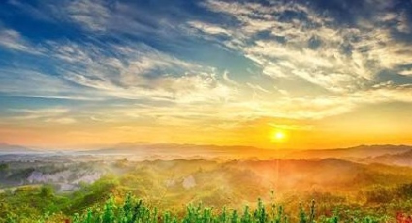 品牌案例库 - 萝莉社免费 - 商业传播成功案例参考中心