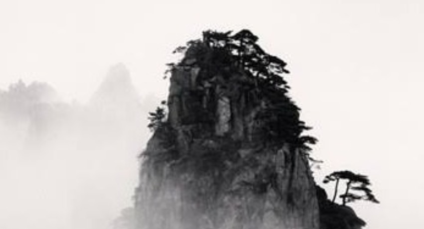 伙伴故事集 - 萝莉社免费 - 优质合作伙伴成长纪实平台